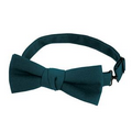 F43 Designer Teal Bow Tie